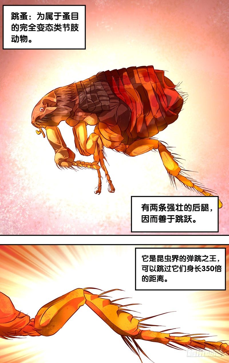 《虫生（开局觉醒跳蚤血脉）》17.辗压 第5页
