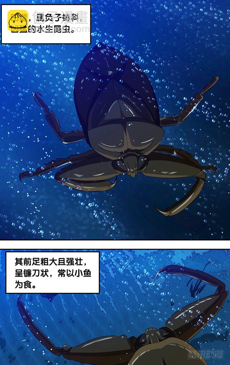 《虫生（开局觉醒跳蚤血脉）》29.田鳖 第10页