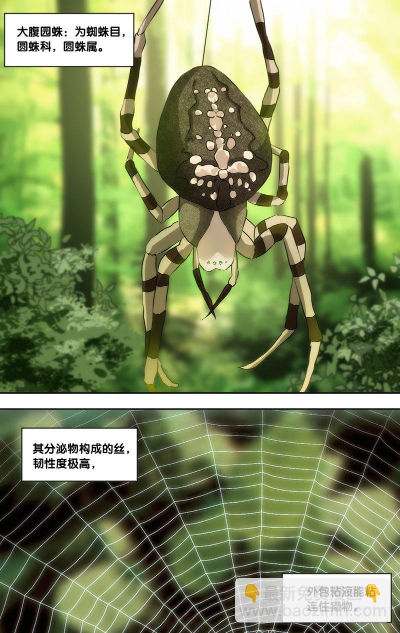 《虫生（开局觉醒跳蚤血脉）》44.蛛 第6页