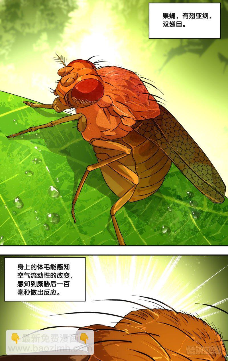 《虫生（开局觉醒跳蚤血脉）》46.追击 第11页