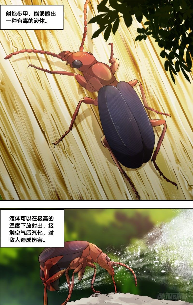 《虫生（开局觉醒跳蚤血脉）》55.射炮步甲 第1页