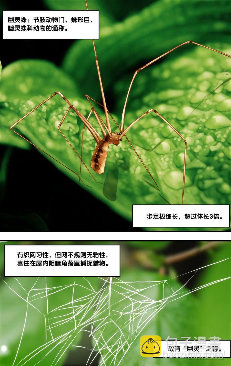 《虫生（开局觉醒跳蚤血脉）》145.幽灵蛛 第4页