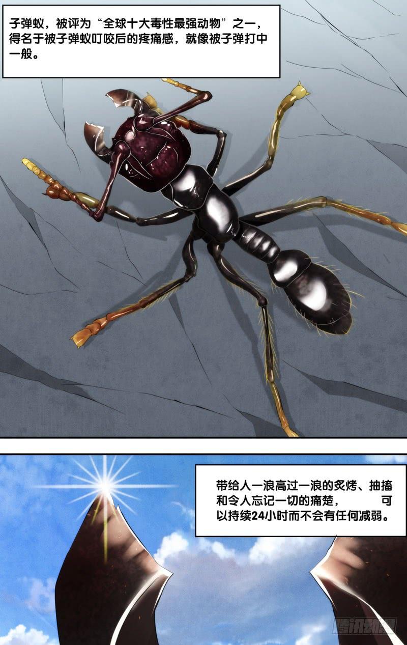 《虫生（开局觉醒跳蚤血脉）》170.独角仙 第8页
