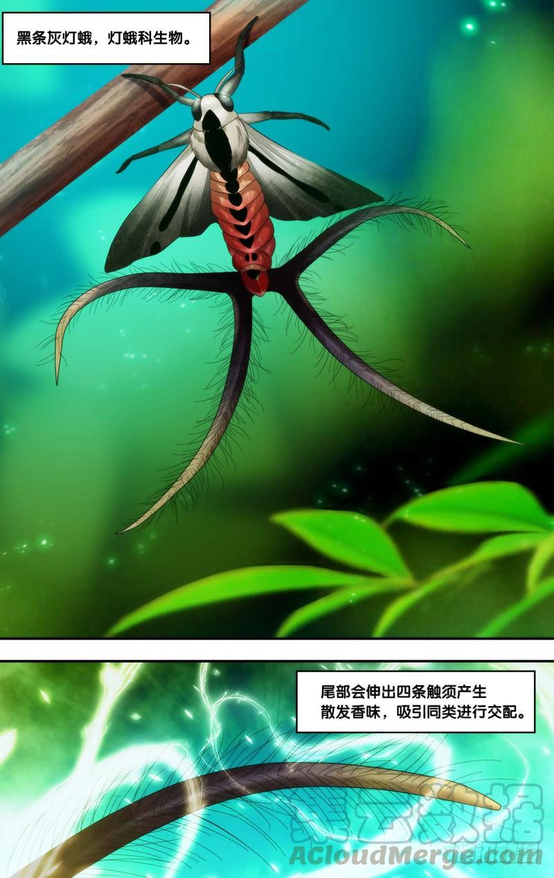 《虫生（开局觉醒跳蚤血脉）》199.香水味 第11页