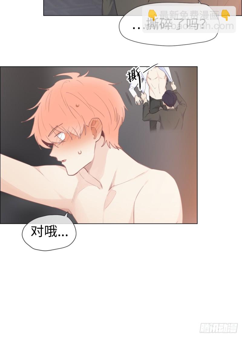《相濡易木》第68话解约 第19页