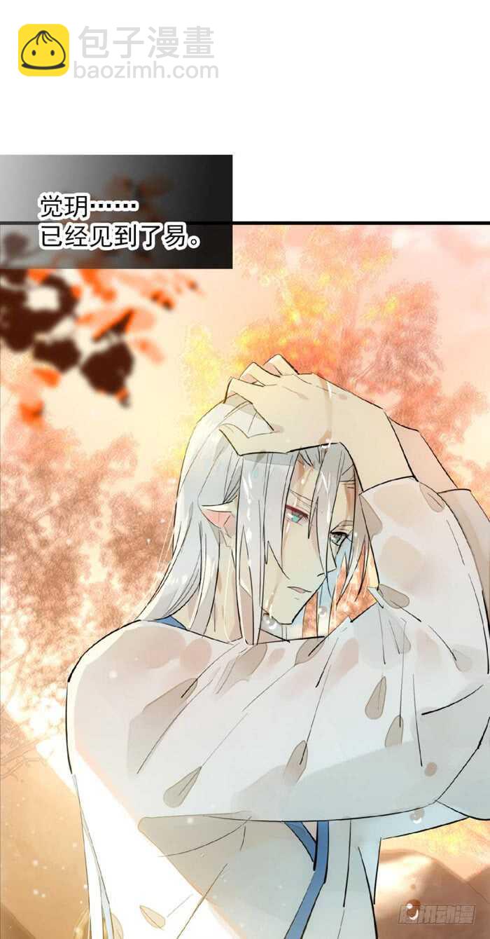 《师父又在撩我（燎刃）》99 绑架与刺杀 第19页
