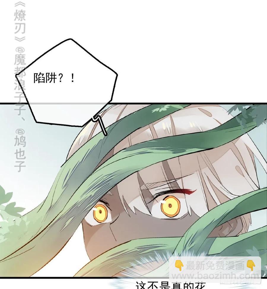 《师父又在撩我（燎刃）》191 用我一生治愈你 第5页
