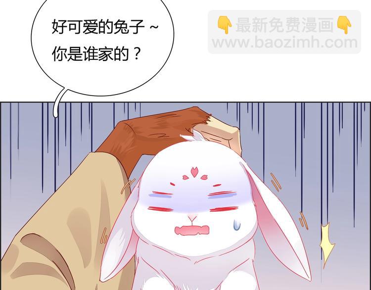 《被天敌饲养的日子》第1话 我被命运砸中了头 第19页