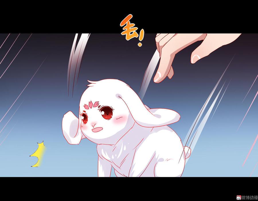 《被天敌饲养的日子》第62话 兔子果然适合圈养 第14页