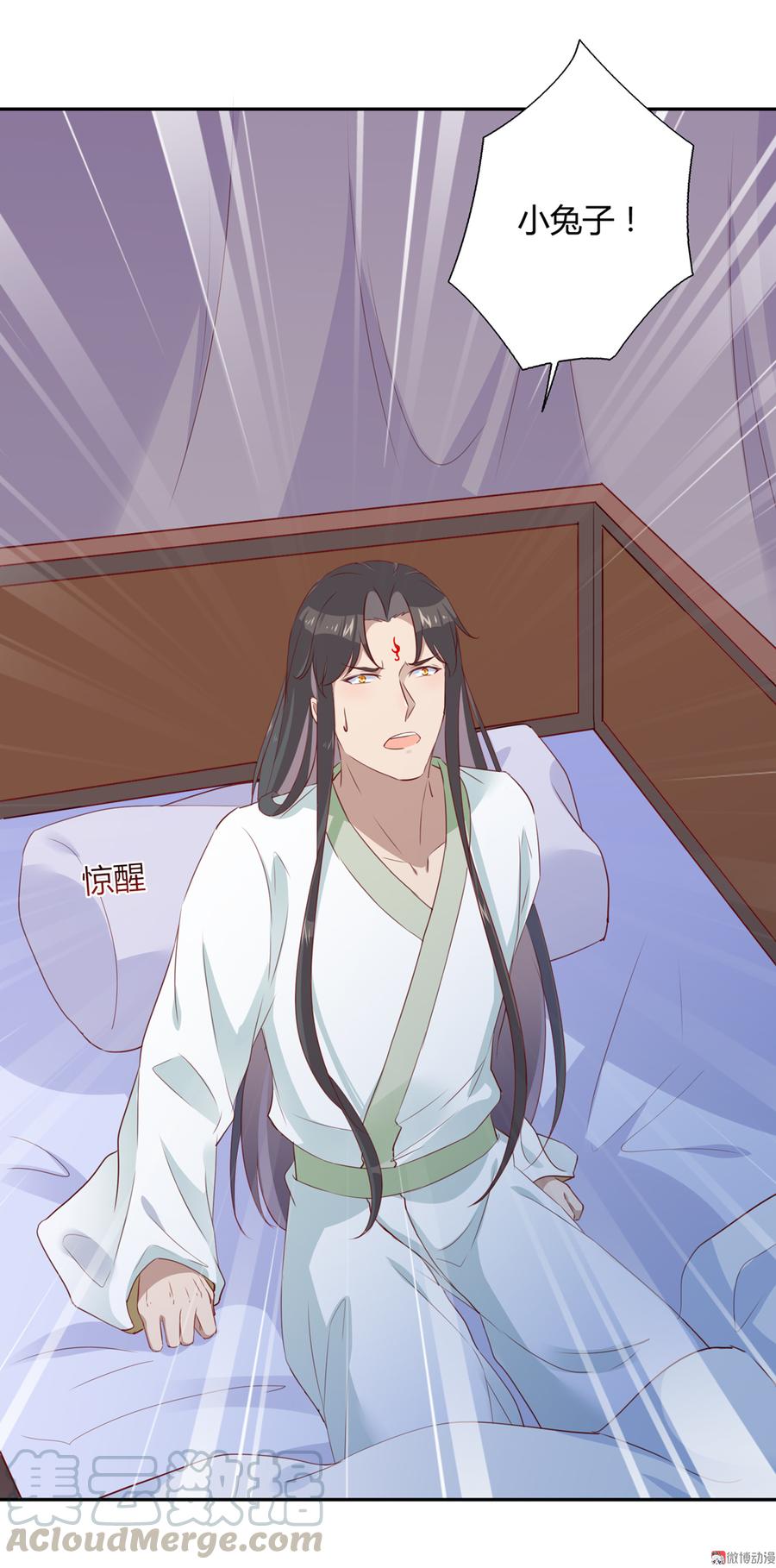 《被天敌饲养的日子》第157话 为你天涯海角 第5页