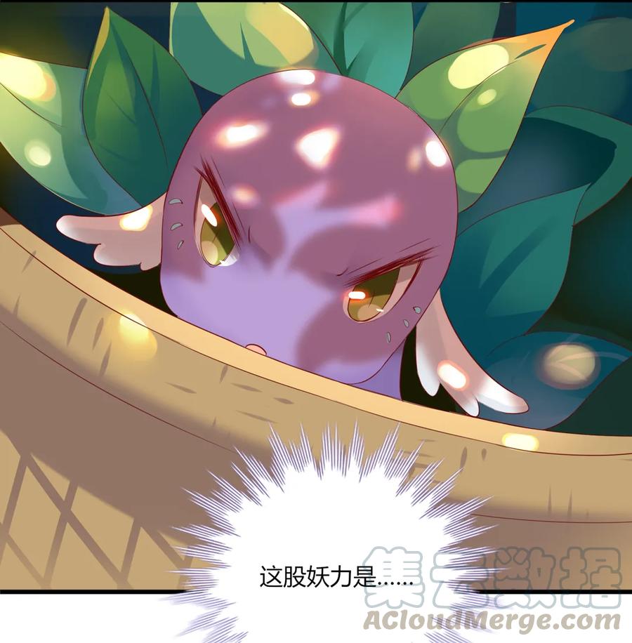 《被天敌饲养的日子》第201话 女人，给我躲好了 第19页