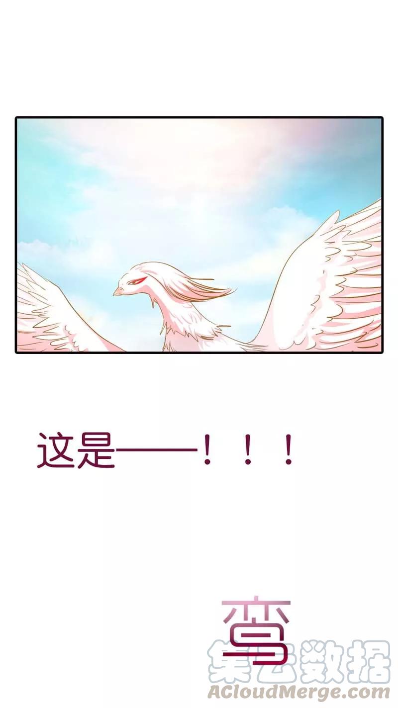 《这些神兽有点萌之通天噬宠》第69话 天帝好色啊 第11页