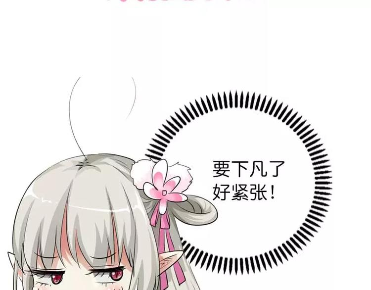 《这些神兽有点萌之通天噬宠》第二部预告 第15页