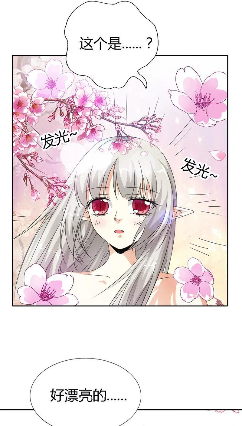 《这些神兽有点萌之通天噬宠》第118话 有件礼物送给你 第13页