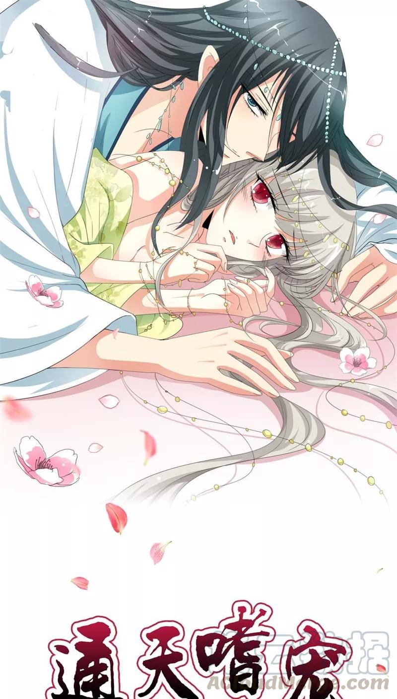《这些神兽有点萌之通天噬宠》第3季7话 月饼 第1页