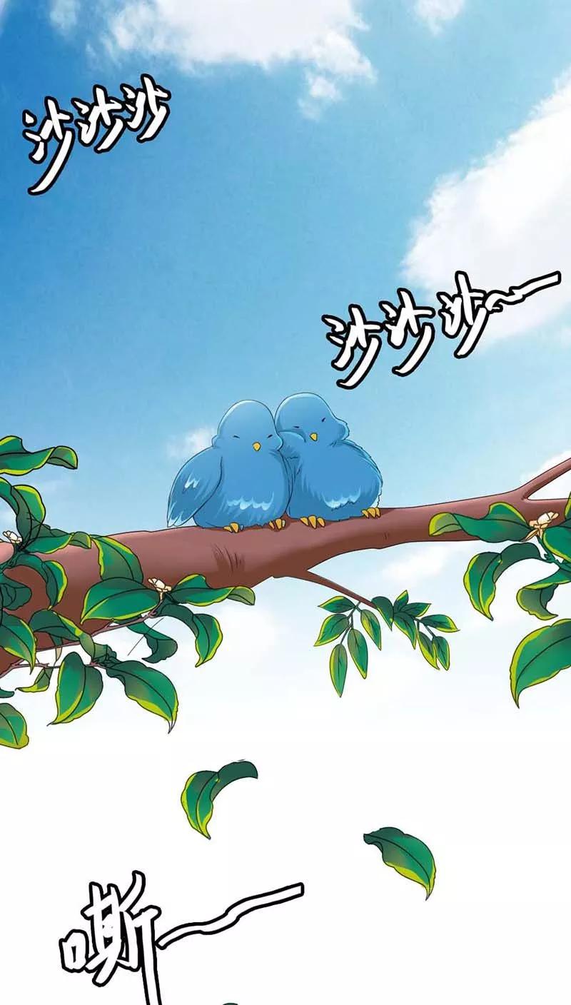 《这些神兽有点萌之通天噬宠》第3季11话 躲猫猫 第12页