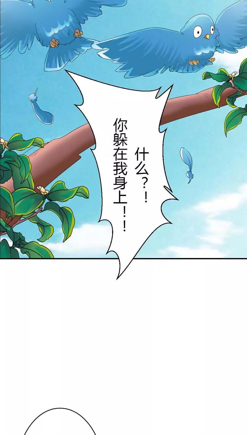 《这些神兽有点萌之通天噬宠》第3季11话 躲猫猫 第14页