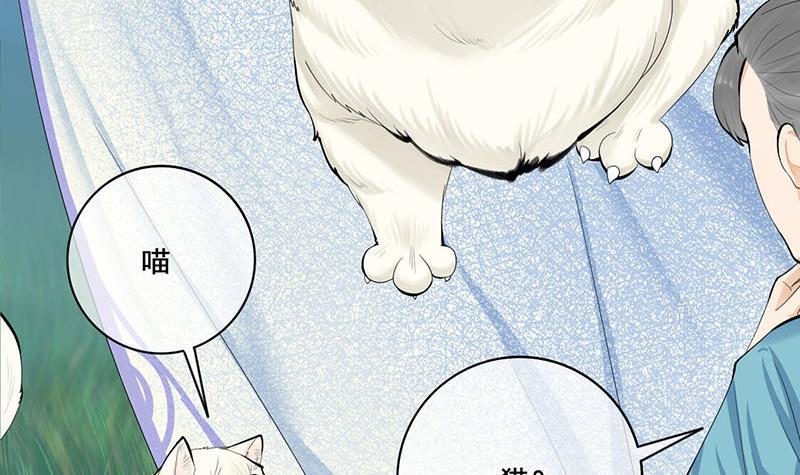 《锦绣未央》第三季 第241话 算计 第42页