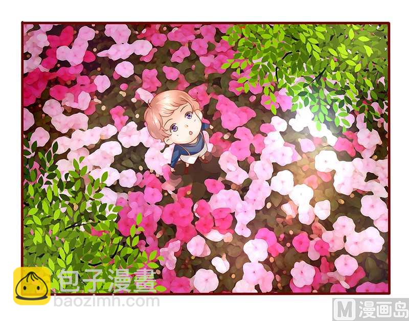 《霸道首席爱上我》第35话 淀园花谷 第5页