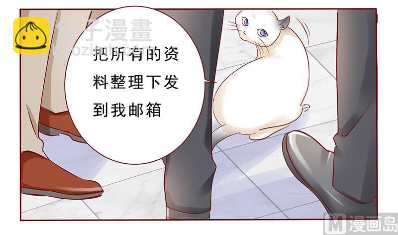《霸道首席爱上我》第190话 这事也该结束了 第12页