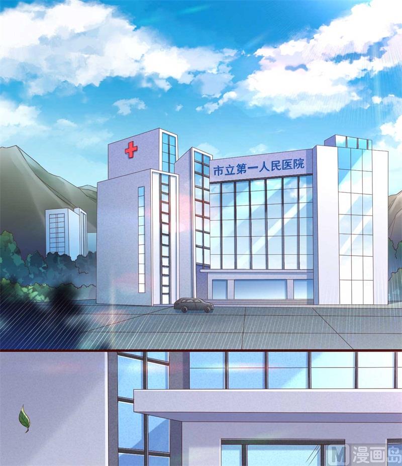 《霸道首席爱上我》第205话 再临顾家 第1页
