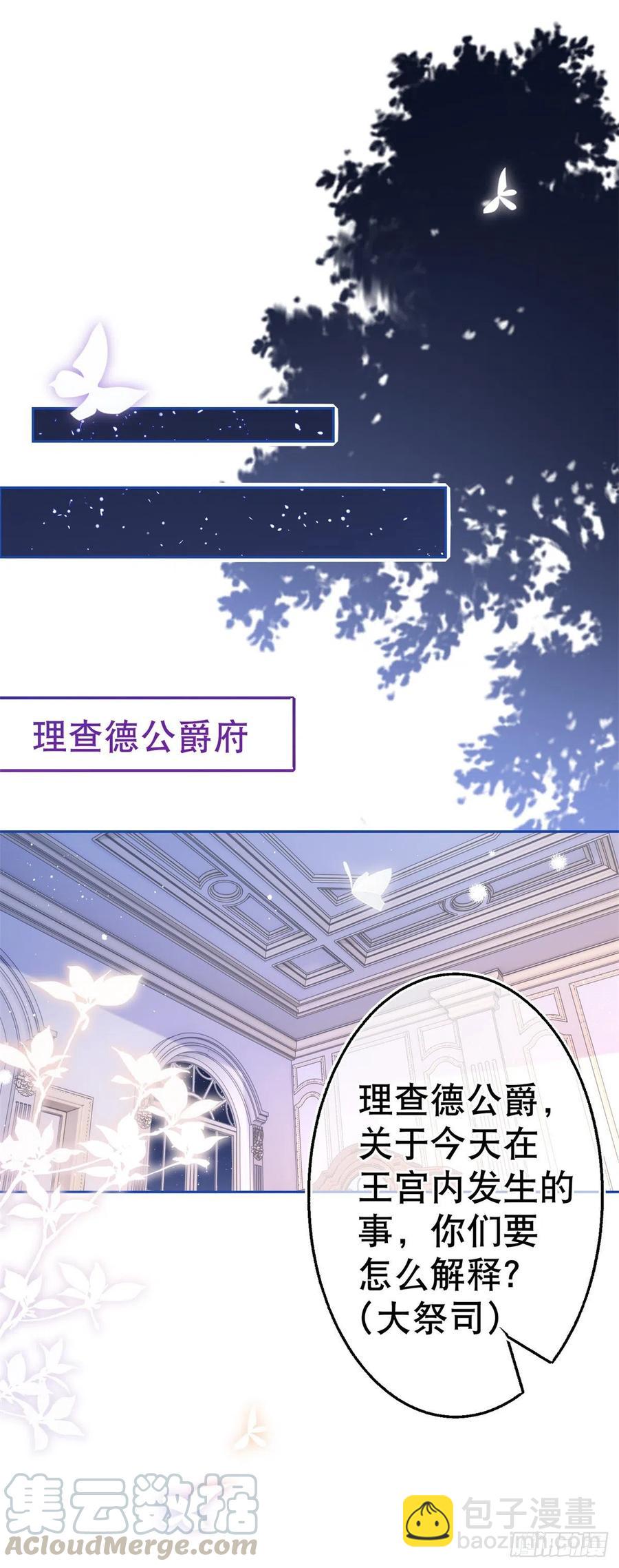 《帝国第一团宠皇女》第65话 对手的密谋 第11页