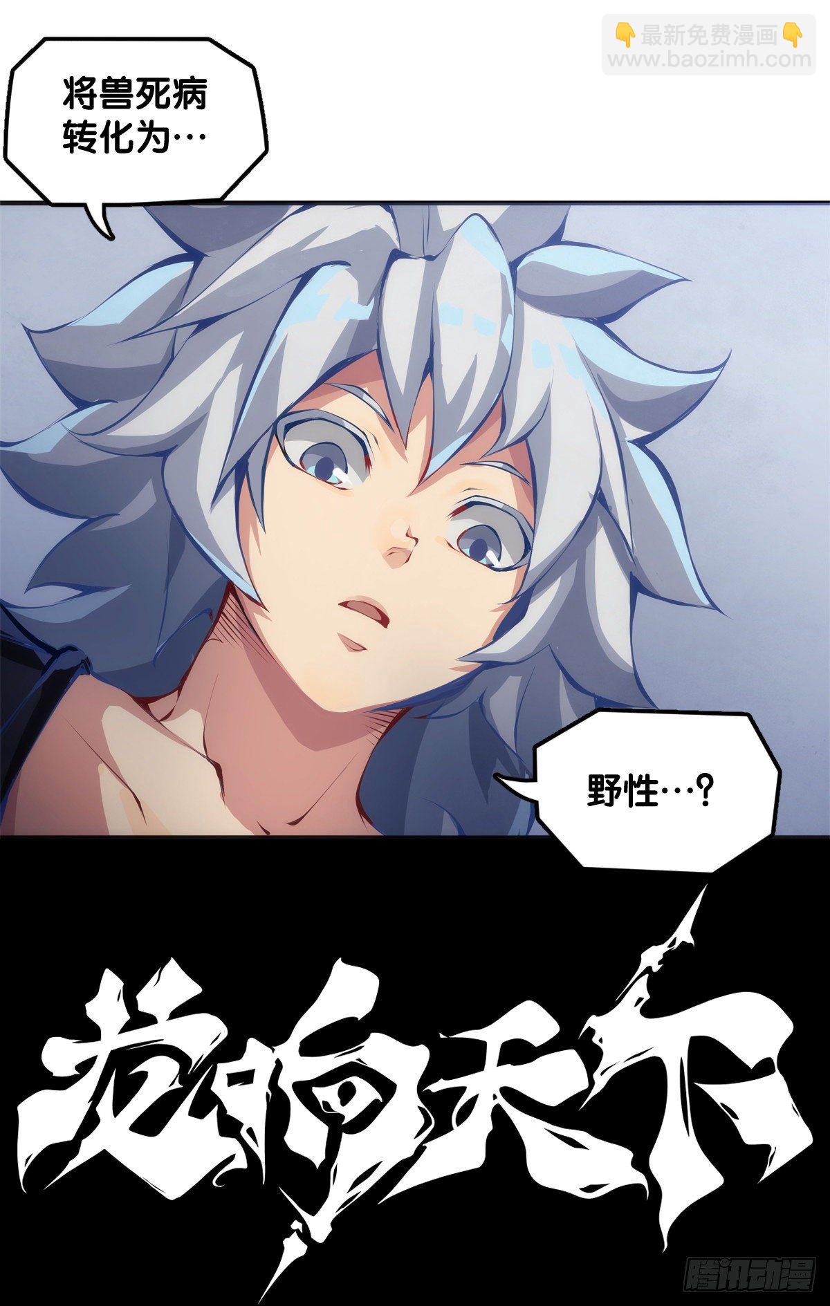 《龙响天下》猪头挂墙上还不如卤一卤吃掉 第7页