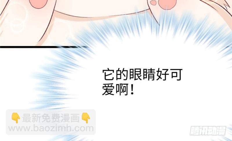 《悠哉兽世种种田，生生崽》第71话 第21页
