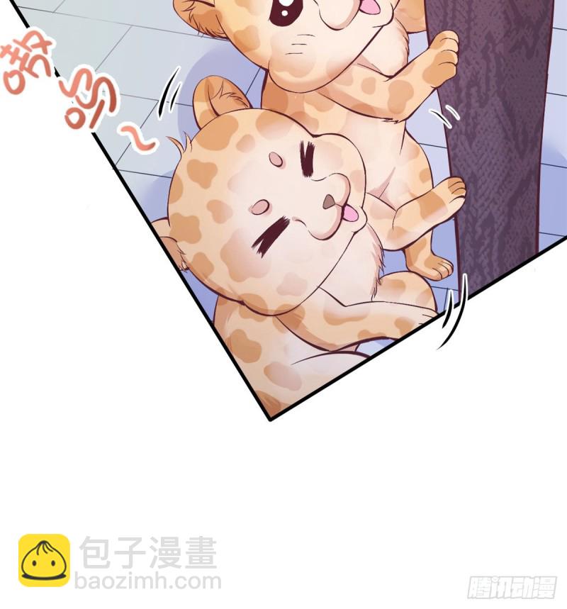 《悠哉兽世种种田，生生崽》第143话 第44页