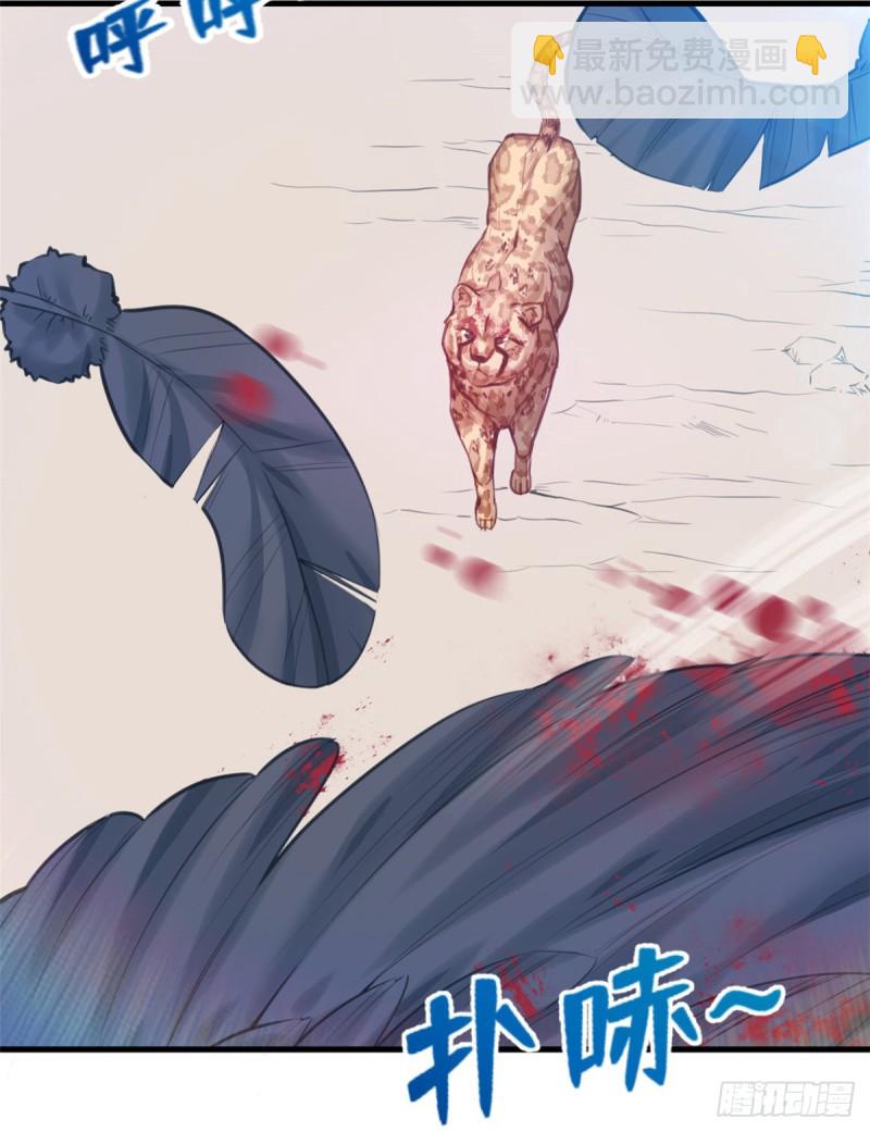 《悠哉兽世种种田，生生崽》第206话 第5页