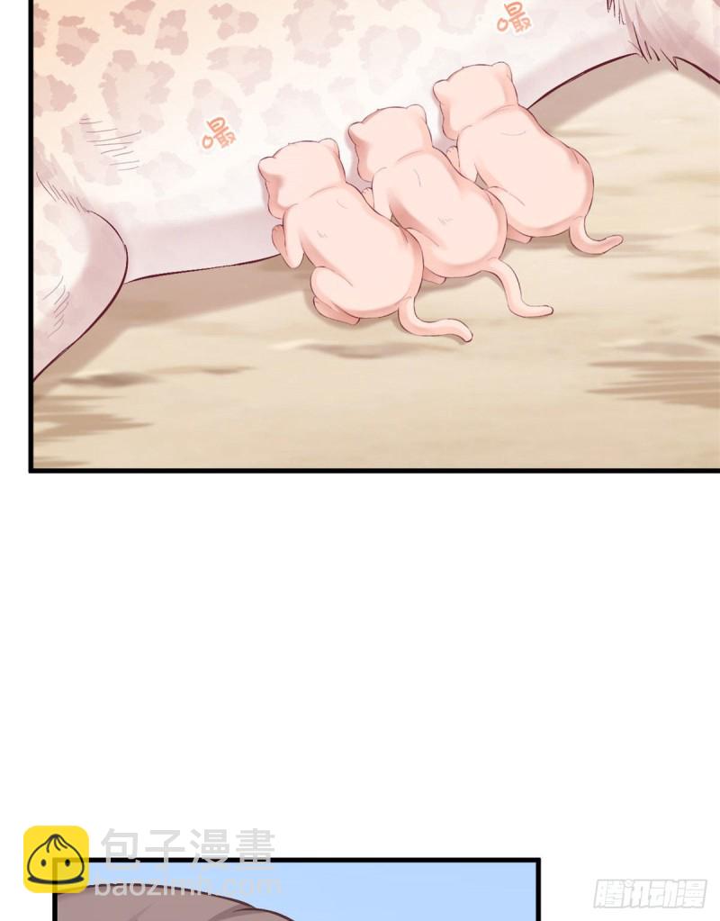 《悠哉兽世种种田，生生崽》第204话 第32页