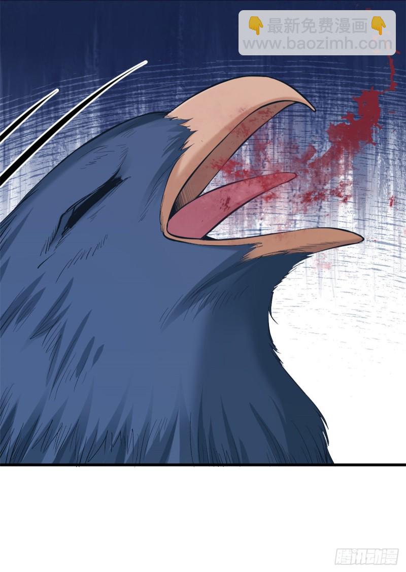 《悠哉兽世种种田，生生崽》第205话 第49页