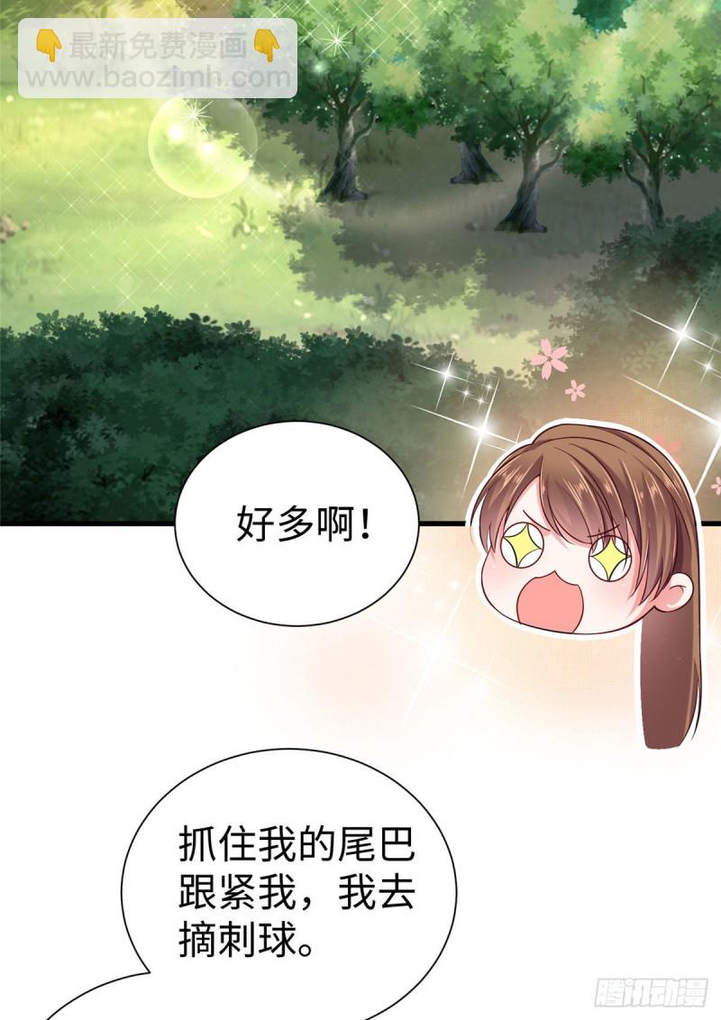 《悠哉兽世种种田，生生崽》第251话 第6页