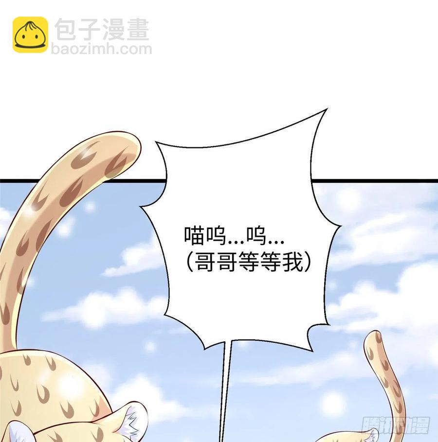 《悠哉兽世种种田，生生崽》第261话 第3页