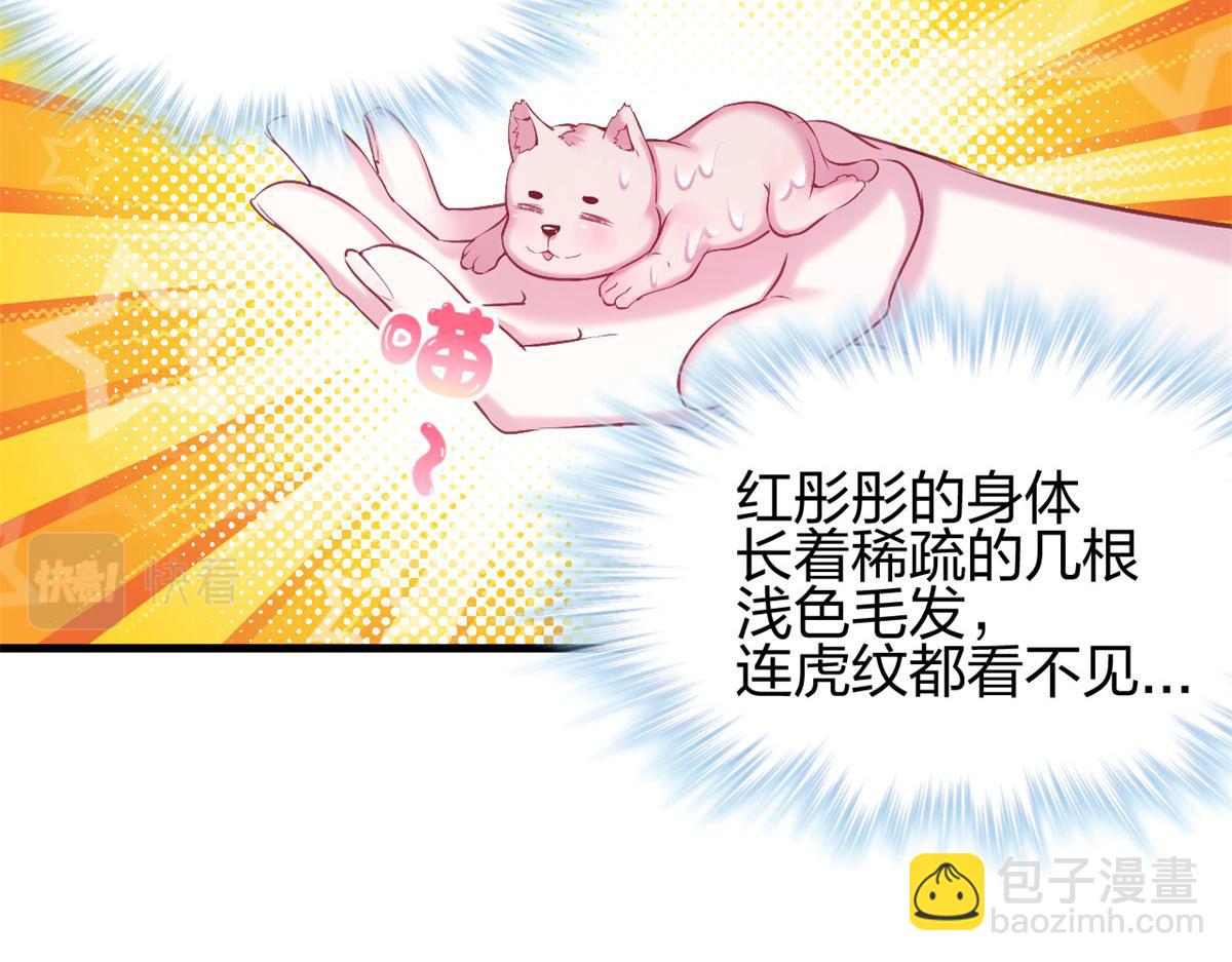 《悠哉兽世种种田，生生崽》333 第38页