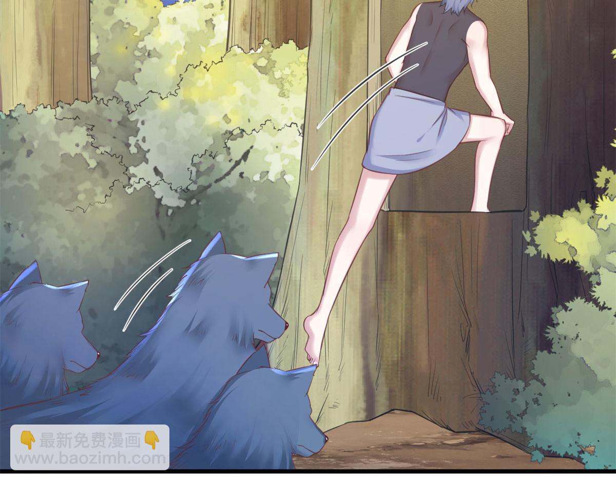 《悠哉兽世种种田，生生崽》334 第44页