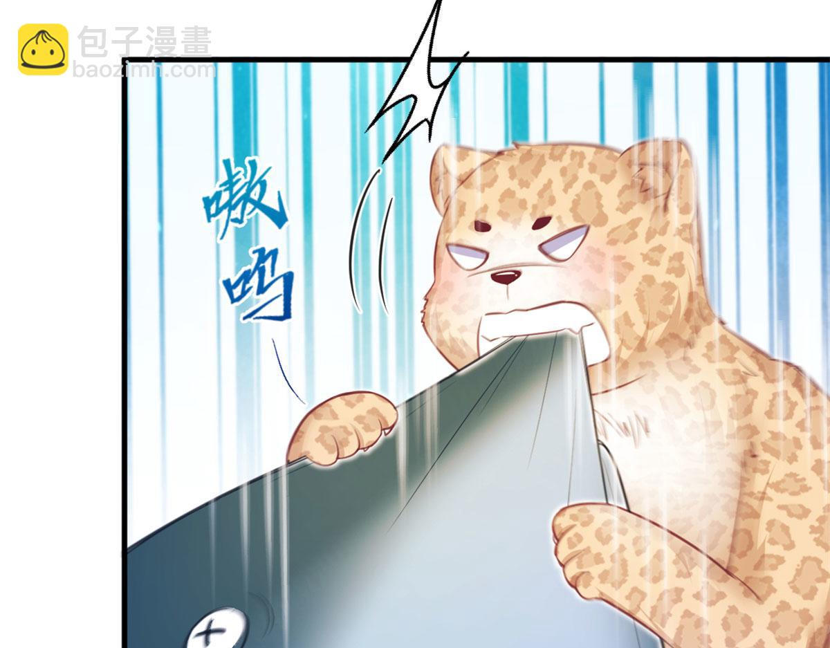 《悠哉兽世种种田，生生崽》343 第13页