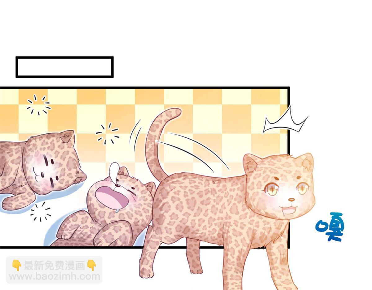 《悠哉兽世种种田，生生崽》343 第4页