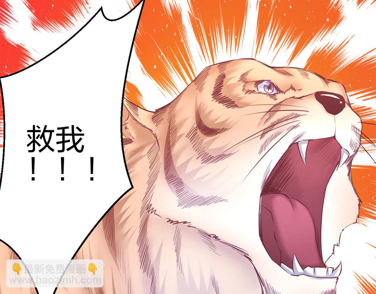 《悠哉兽世种种田，生生崽》355 第14页