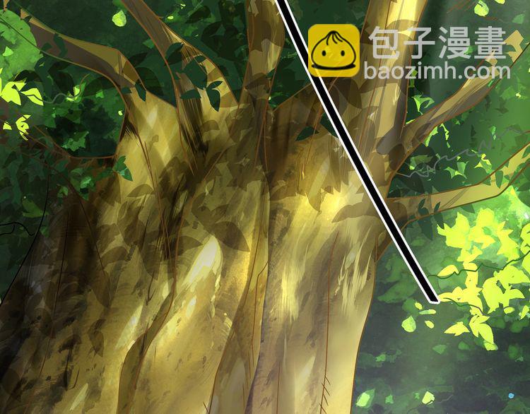 《吞噬领域》第99话 神核本质 第34页