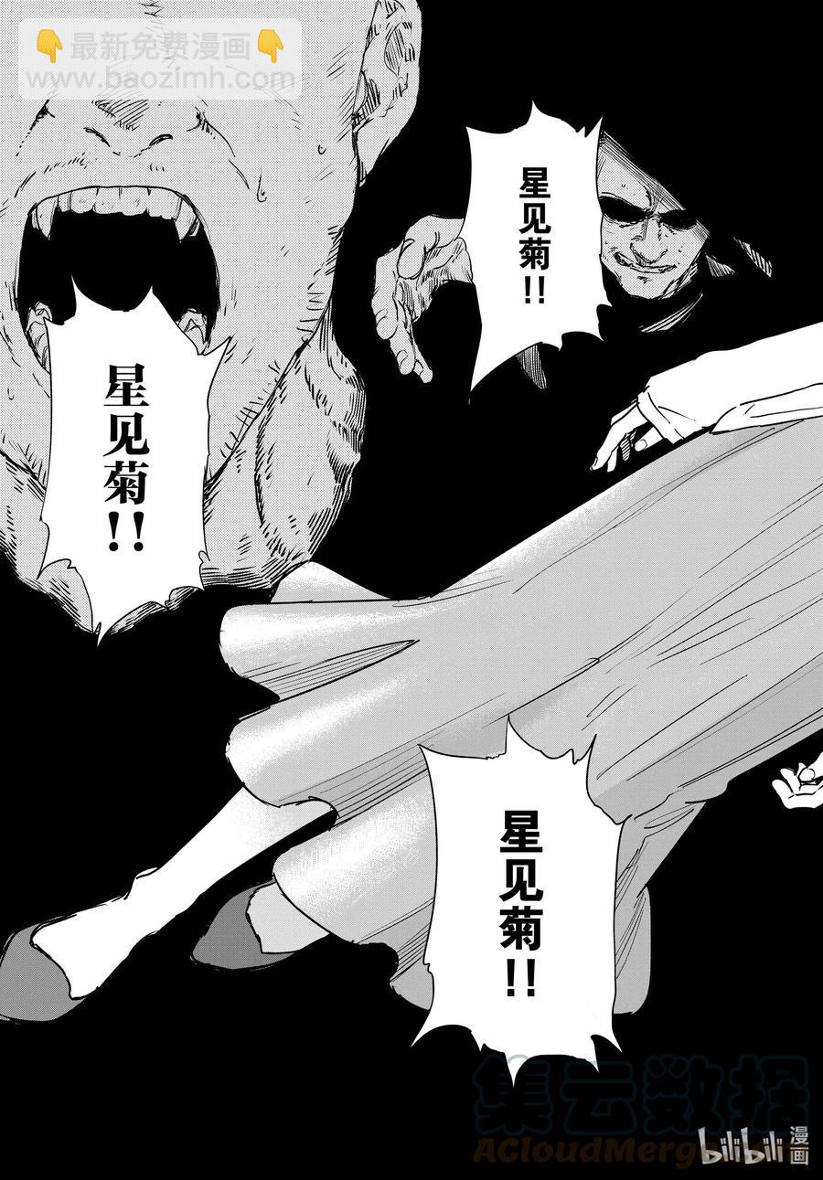 《彻夜之歌》100 星见菊 第17页