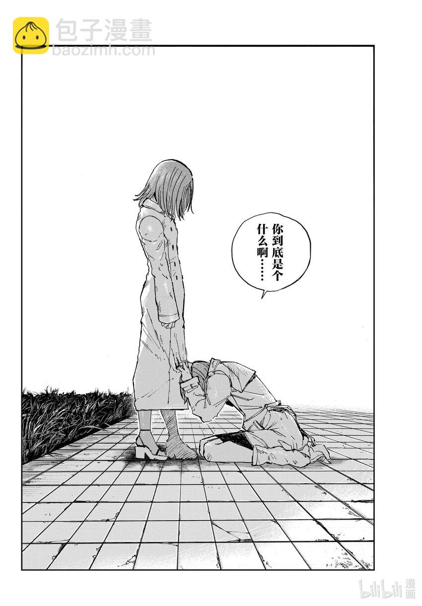 《彻夜之歌》156 永别了。 第14页