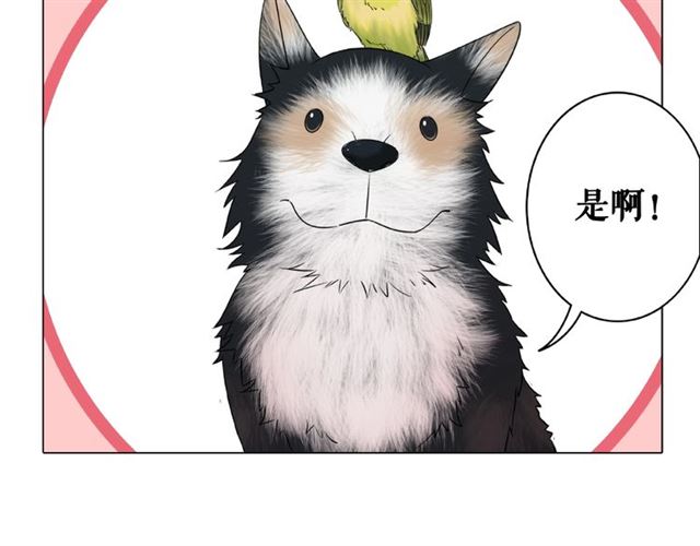 《极品废材小姐》第46话 敢不敢赌？ 第22页