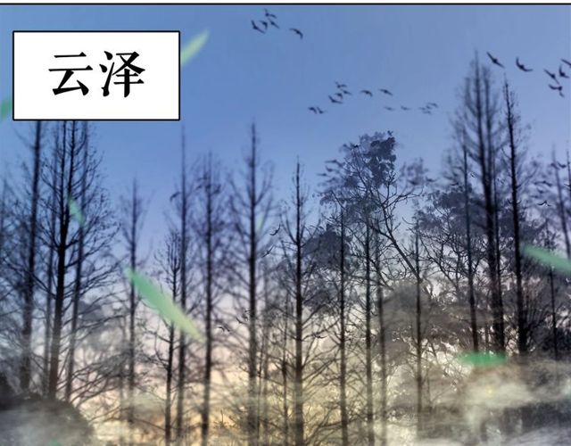 《极品废材小姐》第67话 胜利的果实遭夺取？ 第12页