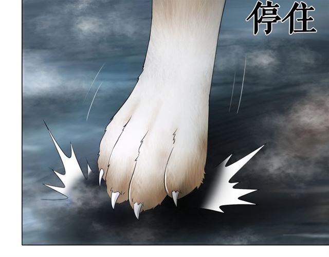 《极品废材小姐》第69话 我们日后算账 第21页