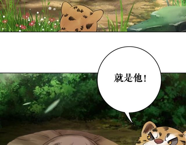 《极品废材小姐》第68话 你万不该对我同伴下手 第44页