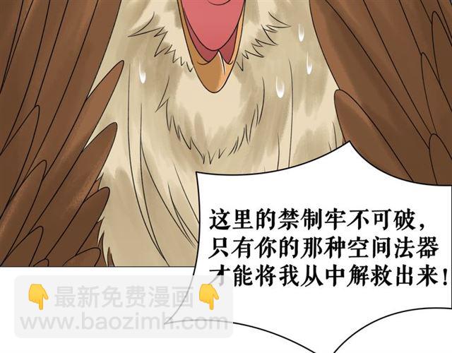 《极品废材小姐》第107话 腹黑vs狡诈 第49页