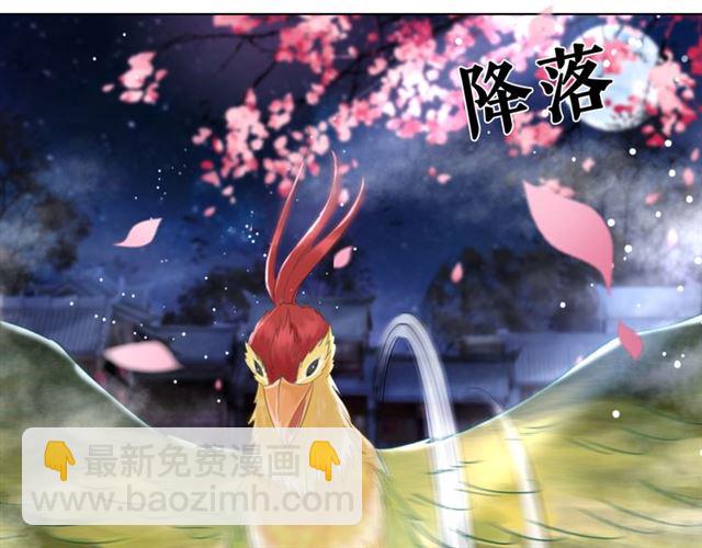 《极品废材小姐》第105话 传说中的凶兽？ 第30页