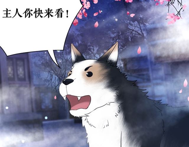 《极品废材小姐》第105话 传说中的凶兽？ 第48页