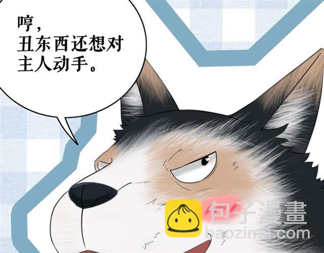《极品废材小姐》第108话 欧夜辰回来了？！ 第17页